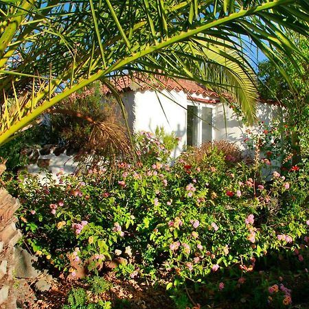 Finca Cosmos Ел Пасо Екстериор снимка